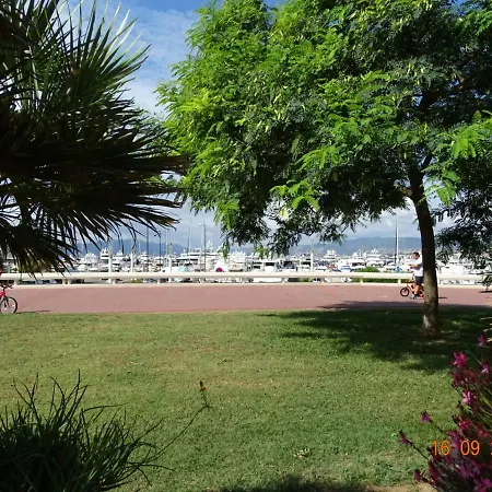 Palm Azur Cannes