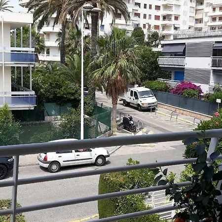 Apartment Palm Azur *