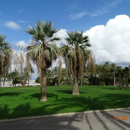 Palm Azur Апартаменты *