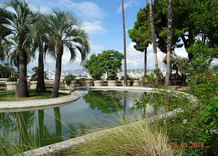 Palm Azur
