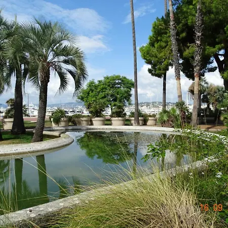 Palm Azur