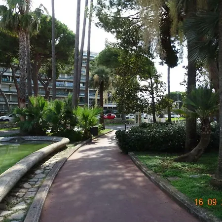 Palm Azur