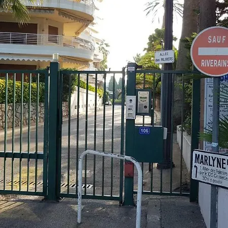 Palm Azur