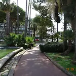 Palm Azur